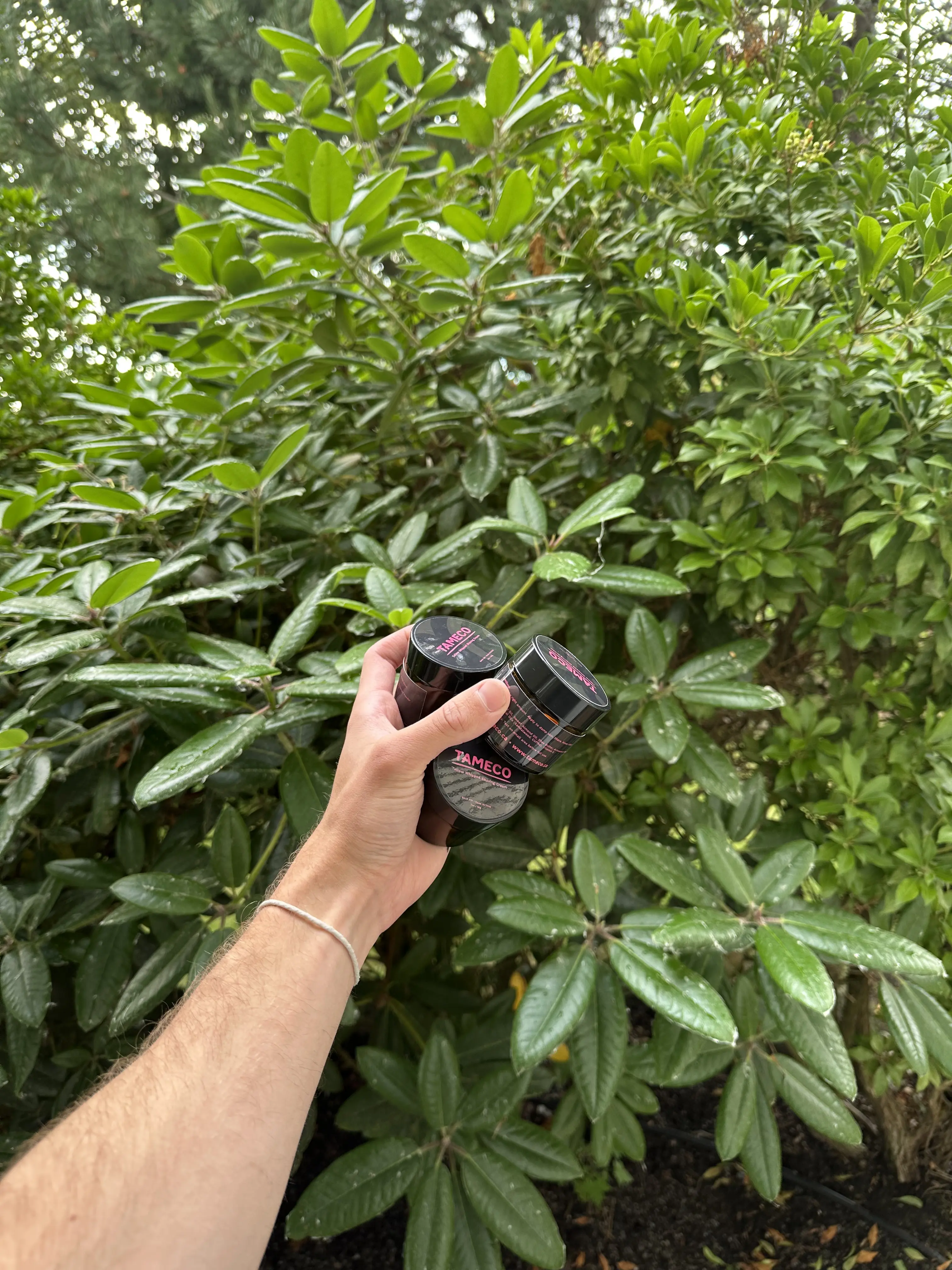 Holding the first batches of Tameco tallow shaving cream outdoors